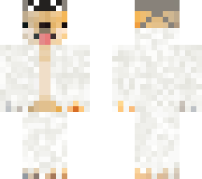 martial artist doge