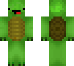 turtle 1