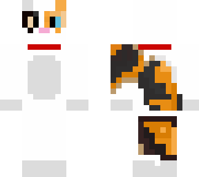 calico cat