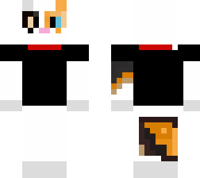calico cat