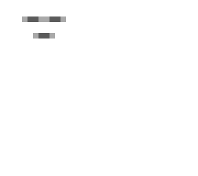 minecraft gast
