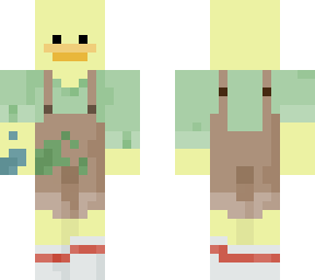 painter duck