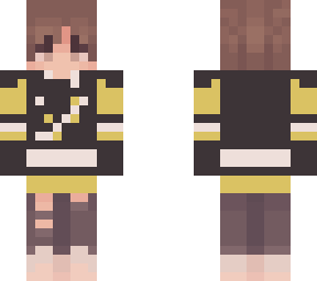 pittsburg penguins