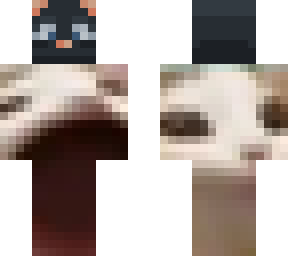 pop cat meme