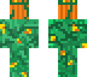 pumkin