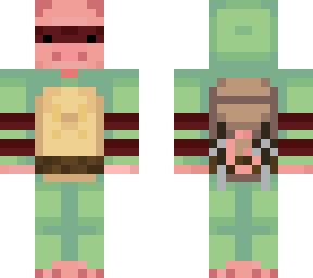 thecerdoflash turtle cute