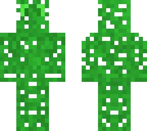 cactus boy