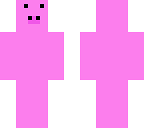 pig