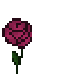 *~ maroon rose ~*  (contest entry)