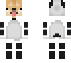 dog pand polar