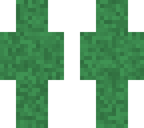 grass