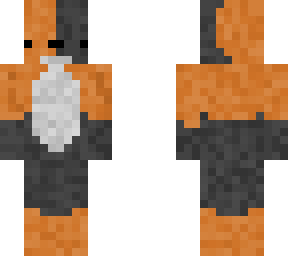 hamster