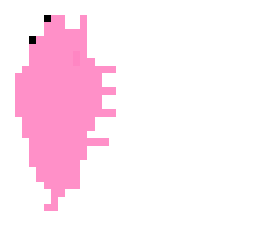 pig