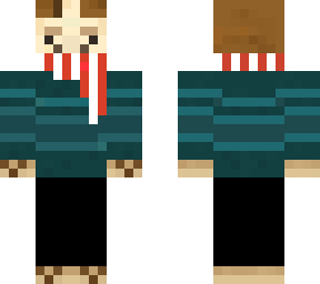 skin llama invierno