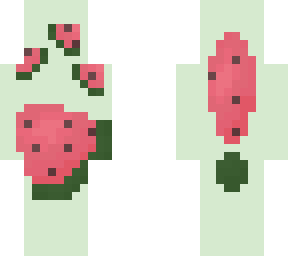 ~watermelon~ ce ~