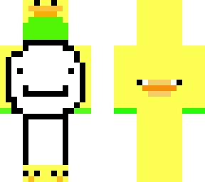 dream duck
