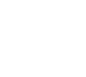 pppp