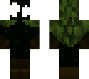 the wanderer