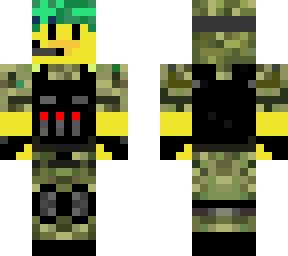 army duck