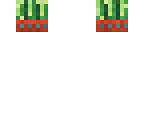 cactus head for me