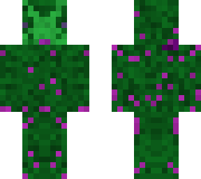 ender bush
