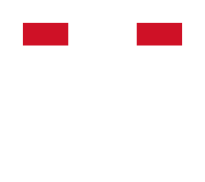 indonesia head
