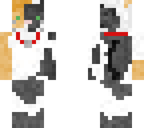 tabby