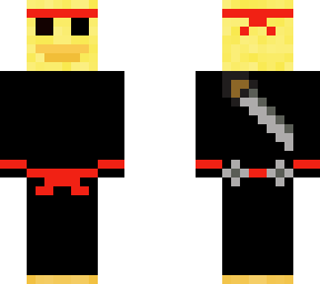 duck ninja