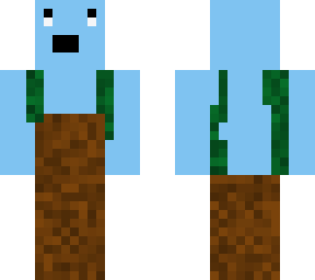 flower dude