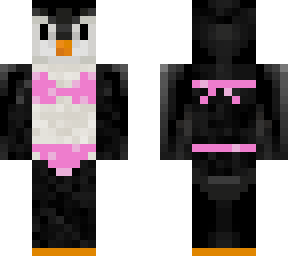 penguin at the  beach