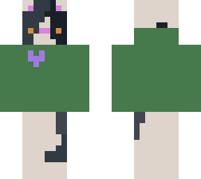 cat with a jacket