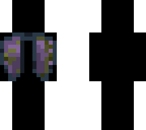 elytra (at least i tried)