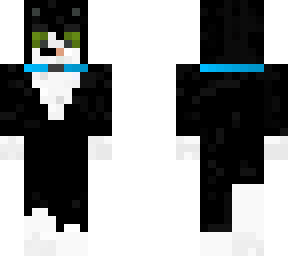 mi gato