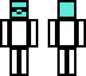 a cat skin