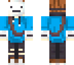 a dream skin draim?
