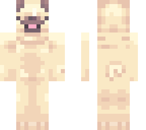 peepeepoopoocheck