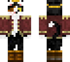 pirate cat