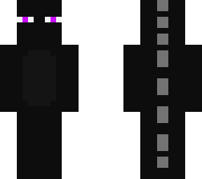 weird ender dragon skin thingy