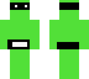 the green ninja