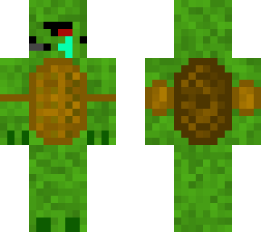 turtle boi