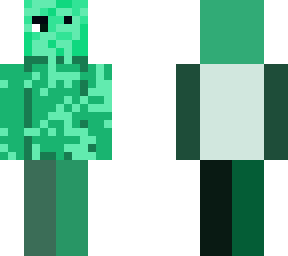 turtle man