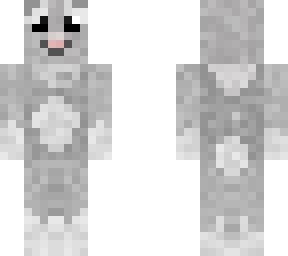cute koala