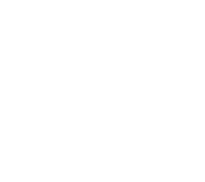 headphones (basic)