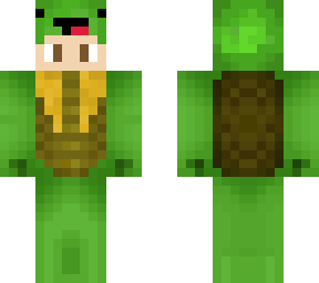 me in a turtle onsie