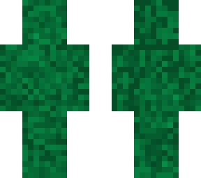 minecraft static skin