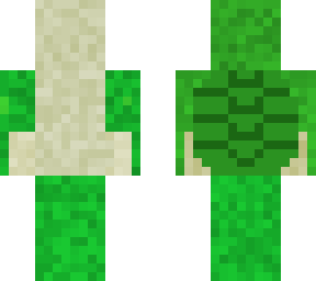 minecraft turtle (looks better swimming/flying)