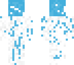 snow biome camo skin