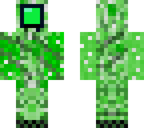 among creeper