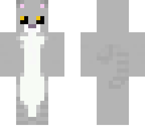boo kitten british blue cat grey