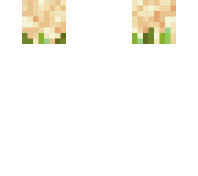 cauliflower head